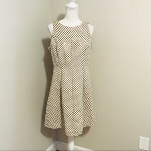 Ann Taylor Fit and Flare Dress